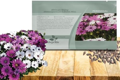 Outsidepride Osteospermum African Daisy Seed Mix - 100 Pcs. Perennial Flower Seeds for Planting Outdoors with Long-Lasting Blooms, Drought-Tolerant, Easy to Grow for Sunny Gardens & Borders by Outsidepride