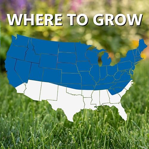 Jonathan Green Black Beauty Sun & Shade Grass Seed - 15 lb - Image 4
