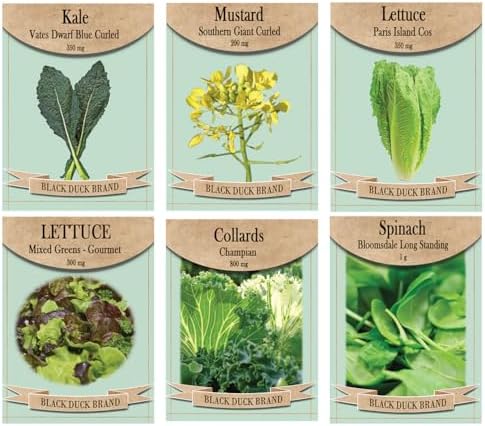 Set of 6 Greens & Leafy Vegetable Seed Collection – Grow Fresh, Nutritious Greens for Salads & Cooking – Non-GMO, Heirloom, High Germination – Lettuce, Kale, Spinach & More by FreedomFarms