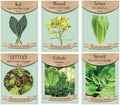 Set of 6 Greens & Leafy Vegetable Seed Collection – Grow Fresh, Nutritious Greens for Salads & Cooking – Non-GMO, Heirloom, High Germination – Lettuce, Kale, Spinach & More by FreedomFarms
