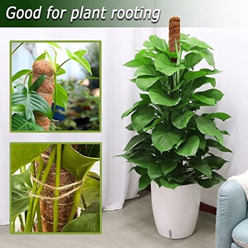 Soupiar 2-Pack 28" Bendable Moss Pole for Monstera, Rust-Free Aluminum Core Plant Support Stakes, Sturdy Stakes to Train & Grow Indoor Climbing Plants Upright (13.2ft Jute Rope Included) - Image 3