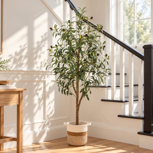 4FT Artificial Olive Tree Indoor Tall Faux with Planter & Basket Large Fake Olive Silk Trees Realistic Olive Plants with Branches and Fruits for Office Decor Home Living Room - Image 4