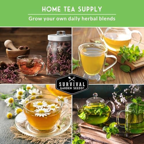 Herbal Tea Garden Seeds Kit - 5 Medicinal Herbs for Planting - Image 4