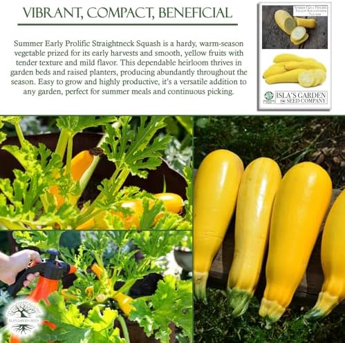 Early Prolific Straightneck Squash Seeds – 50+ Non-GMO & Heirloom Vegetable Seeds, Cucurbita Pepo, Fast Growing Yellow Summer Squash, High Yield for Containers & Gardens, Gift Idea by Isla’s Garden - Image 5