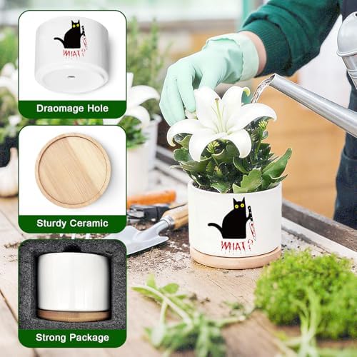 Funny Hello Black Cat Ceramic Plant Pot for Succulent, Cute Cat Cactus Flower Planter for Windowsill Indoor Decor, Home Office Decoration for Plant Lovers Friends Owner Lover (No Plants) (What) - Image 4