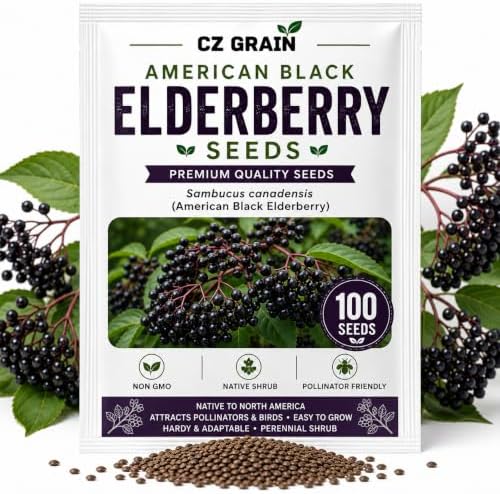 Black Elderberry Seeds for Planting Native Shrub 100 Premium Seeds by CZGrain
