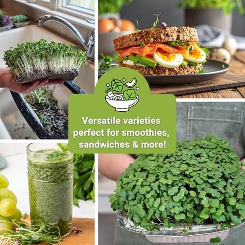 Sow Right Seeds- Superfood Microgreens Seed Collection for Planting Indoors - Image 6