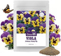 Johnny Jump Up Seeds,10000+ Perennial Wild Violet Seeds for Planting by Groundio