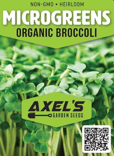 Organic Broccoli Seeds for Sprouting Microgreens – Heirloom, Non GMO Seed Packet to Plant & Grow Organic Broccoli in Home Indoor Hydroponic Gardens – Great Gardening Gift (1 Packet Approx 250 Seeds) - Image 2