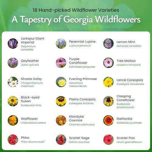 Georgia Wildflower Seed Mix – Over 35,000 Flower Seeds, Covers 300 Sq Ft - Image 3