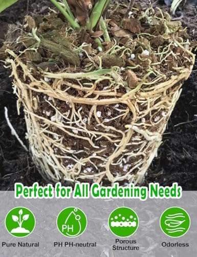 TOYPOPOR Perlite for Plants, 3-6mm Organic Perlite for Gardening, Perlite for Plants Indoor, Soil Additive Conditioner Mix Improve Drainage and Ventilation Promote Root Growth and Soil Health 1qt - Image 5