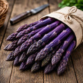 Purple Passion Asparagus Crowns 12 Pack | 2 Year Bare Root Live Plants | Sweet Purple Asparagus Variety | Cold Hardy High Yield Perennial - 12 Fresh Garden Roots by CZGrain