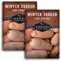 Pink Banana Winter Squash Seeds for Planting - 2 Packs by SurvivalGardenSeeds