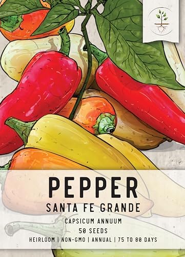 Seed Needs Santa Fe Hot Pepper Seeds to Plant Vegetables - 1 Pack - Image 3