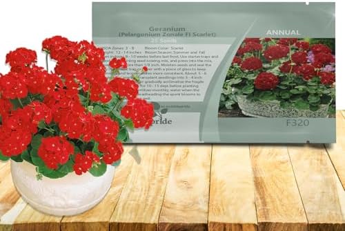 Outsidepride Scarlet Geranium Seeds for Planting - 50 Pcs Annual, Heat & Drought Tolerant Flower Seeds with Green Foliage & Scarlet Blooms for Pots, Borders & Lush Summer Garden Displays by Outsidepride
