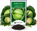 250 Golden Acre Cabbage Seeds for Planting Non GMO Heirloom Seeds Fresh Vegetable Garden Seed by Instant+Latch