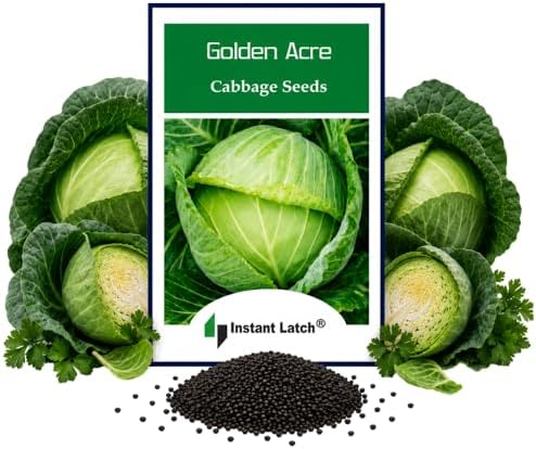 250 Golden Acre Cabbage Seeds for Planting Non GMO Heirloom Seeds Fresh Vegetable Garden Seed by Instant+Latch