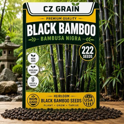 222 Black Bamboo Seeds | Phyllostachys Nigra Seeds for Planting by CZGrain