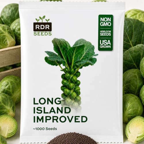 1,000 Long Island Improved Brussels Sprouts Seeds for Planting - Heirloom Non-GMO USA Grown by RDR Seeds by RDRSeeds