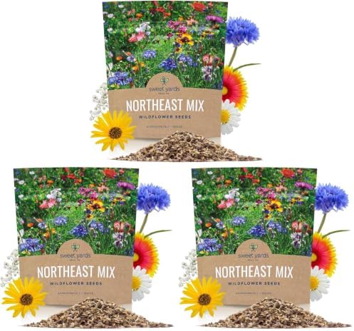 Northeast Wildflower Seeds - Extra Large 1 Ounce Packet - Over 7,500 Native Seeds - Open Pollinated and Non GMO Varieties for New York, Virginia, Pennsylvania, Maine and More! (Pack of 3) by SweetYards