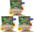 Northeast Wildflower Seeds - Extra Large 1 Ounce Packet - Over 7,500 Native Seeds - Open Pollinated and Non GMO Varieties for New York, Virginia, Pennsylvania, Maine and More! (Pack of 3) by SweetYards