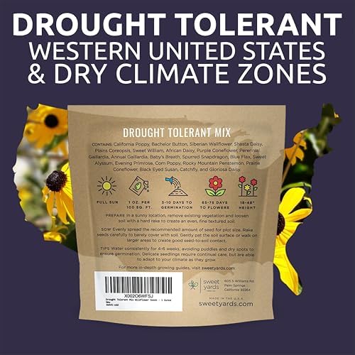 Drought Tolerant Wildflowers Mix – Extra Large Packet – Over 7,500 Open Pollinated Non-GMO Seeds – 21 Different Dryland Species (Pack of 3) - Image 7