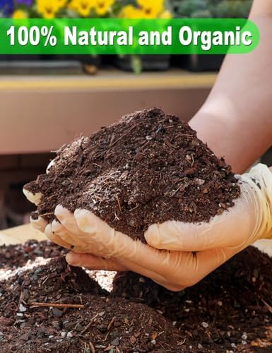 TOYPOPOR Succulent Soil, Cactus Potting Mix 1.25 Pounds/1 Quart, High Drainage, Pre-Mixed Ready to Use for All Succulent Varieties, Indoor Plants, Bonsai, Terrarium, Houseplant, 30% Particles 70% Soil - Image 2