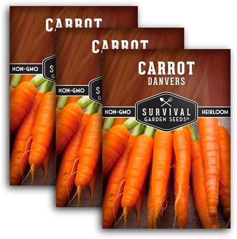 Danvers Carrot Seeds for Planting - Survival Garden Seeds (3 Packs) by SurvivalGardenSeeds