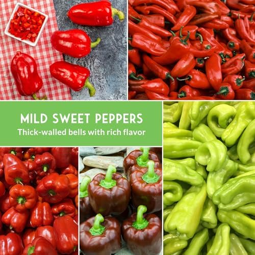 Sweet Pepper Seeds Variety Pack for Planting - Image 5