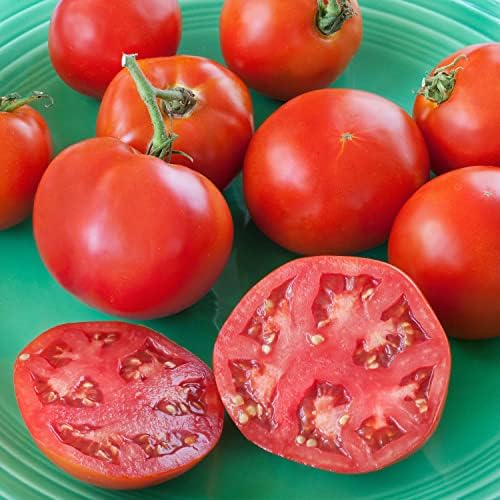 Bonnie Plants Bonnie Original Tomato Live Vegetable Plants - 4 Pack, Disease Resistant, 6 - 8 Oz. Fruit Size, Great for Slicing - Image 2