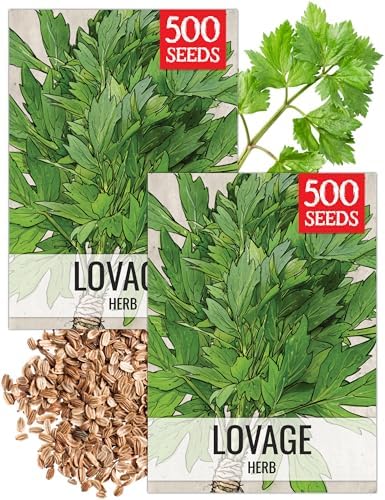 Seed Needs Lovage Seeds to Plant an Herb Garden - 2 Packs by SeedNeeds