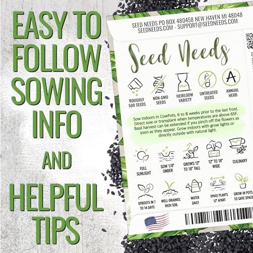 Seed Needs Italian Basil Seeds to Plant an Herb Garden - 1 Pack - Image 4