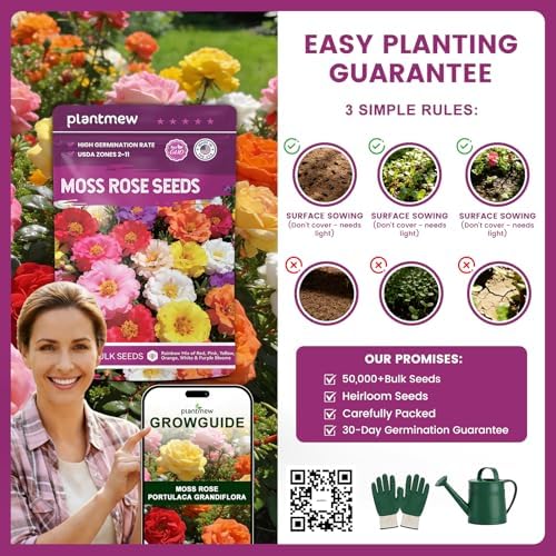 Moss Rose Seeds Bulk Pack - 50,000+ Heirloom Portulaca Seeds for Planting Outdoors, Rainbow Color Mix, Drought-Tolerant Ground Cover & Container Flowers, USDA Zones 2-11 - Image 6