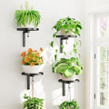 Plant Wall Hanger Holder Set of 4 for Indoor Outdoor, Black by iDavosicly