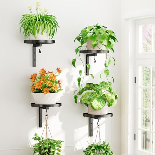 Plant Wall Hanger Holder Set of 4 for Indoor Outdoor, Black by iDavosicly