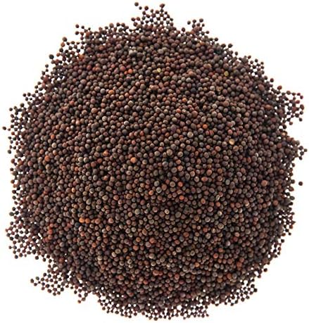Broccoli Trio Sprouting & Microgreen Mix | Contains 3 Heirloom, Non GMO Broccoli Sprouting Seed Varieties for Sprouts & Microgreens | 1 LB Resealable Bag | Rainbow Heirloom Seed Co. - Image 2