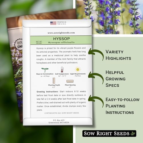 Sow Right Seeds- Hyssop Seed for Planting Perennial Medicinal Herb 4pk - Image 2
