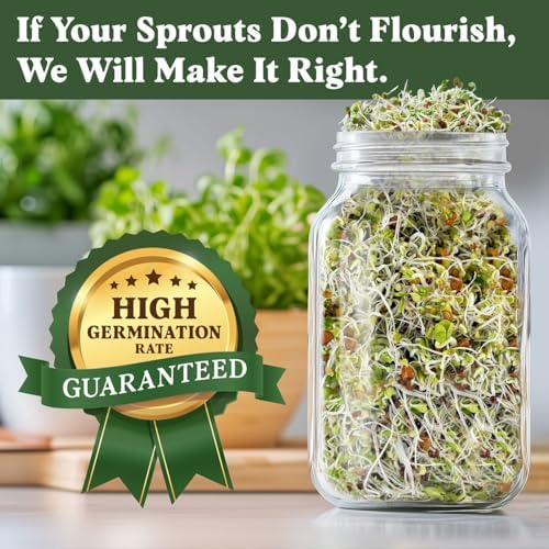 Seedboy Organic Non-GMO Sprouting Seeds 4-Variety (Essential Pack) - Image 5