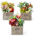 Succulents Plants Artificial with Light for Home Office Decor 3 Pack by Mingfuxin