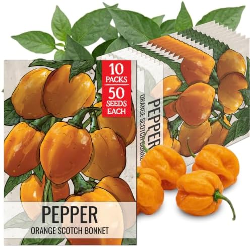 Seed Needs Scotch Bonnet Hot Pepper Seeds to Plant Vegetables - 10 Packs by SeedNeeds