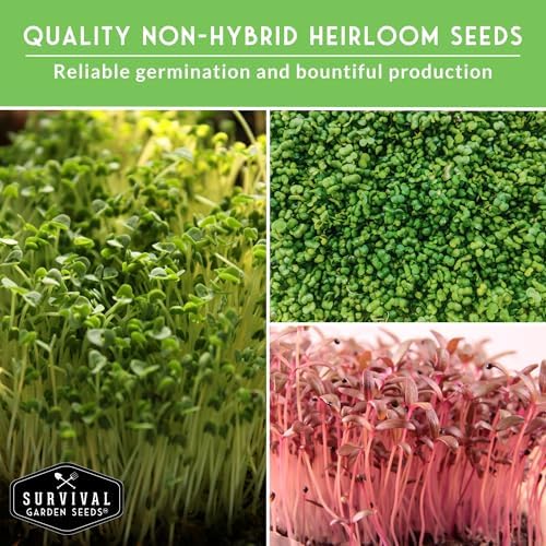 Microgreens Seeds Variety Pack – 15 Heirloom Sprouting Varieties - Image 3