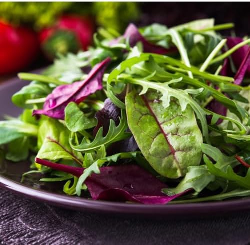 2400+ Lettuce Mix Seeds for Planting - Heirloom Non GMO - Image 3