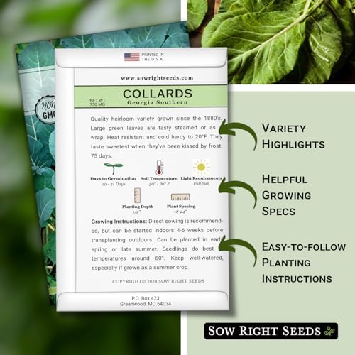 Sow Right Seeds - Georgia Southern Collard Green Seed for Planting Garden - Image 2