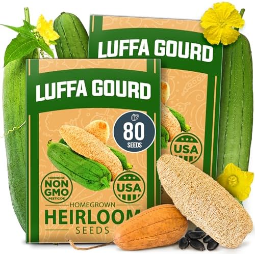HOME GROWN Luffa Loofah Gourd Seeds, 80+ Seeds, Luffa aegyptiaca by HOMEGROWN
