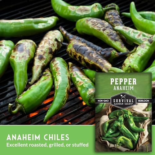 Anaheim Chili Pepper Seeds for Planting - 5 Packs - Image 5