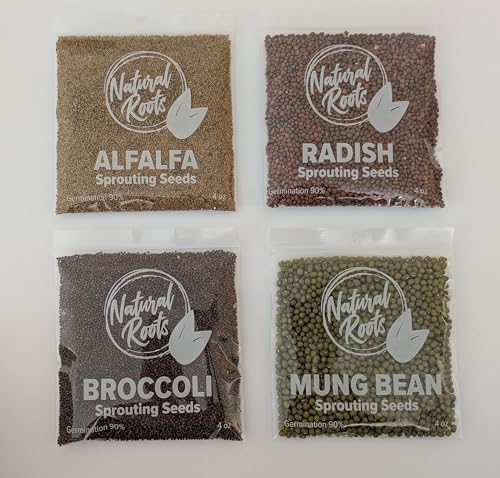 Variety Pack Sprouting Seeds. One Pound. Includes one Pack of Broccoli, Alfalfa, Radish & Mung Beans. for Sprouts and Microgreens. Non-GMO. Seeds for Jar or Trays. Each Pack is a Quarter Pound - Image 2