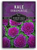 Ornamental Kale Seeds for Planting, Heirloom Flowering Cabbage - 1 Pack by SurvivalGardenSeeds