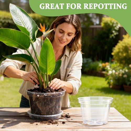 10 Pack 10 Inch Clear Nursery Pots with Saucers, Transparent Sturdy Plastic Plant Pots, Large Gardening Pots with Drainage Hole, Planting Starter Pot for Indoor Outdoor Flowers Herbs Vegetables - Image 5
