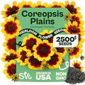 SVI 2500 Plains Coreopsis Seeds (Coreopsis Tinctoria) - Golden Tickseed, Yellow-Red Blooms, Annual Wildflowers, Heirloom Seed in Seed Packets - Flower Seeds for Outdoor Garden, Meadows, Flowers Beds by SVI