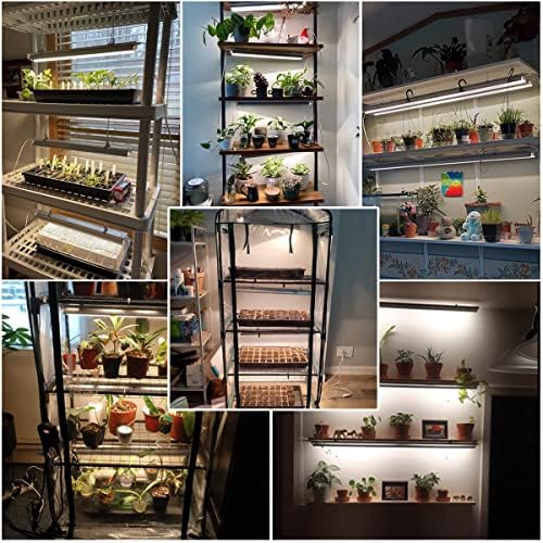 T5 LED Grow Lights, 204pcs Bulb 5000K White Full Spectrum Plant Light Strips for Indoor Plants, Shelves Greenhouse Seedling, End-to-End Connectable with V-Shaped Reflector - Image 2